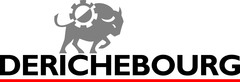 DERICHEBOURG