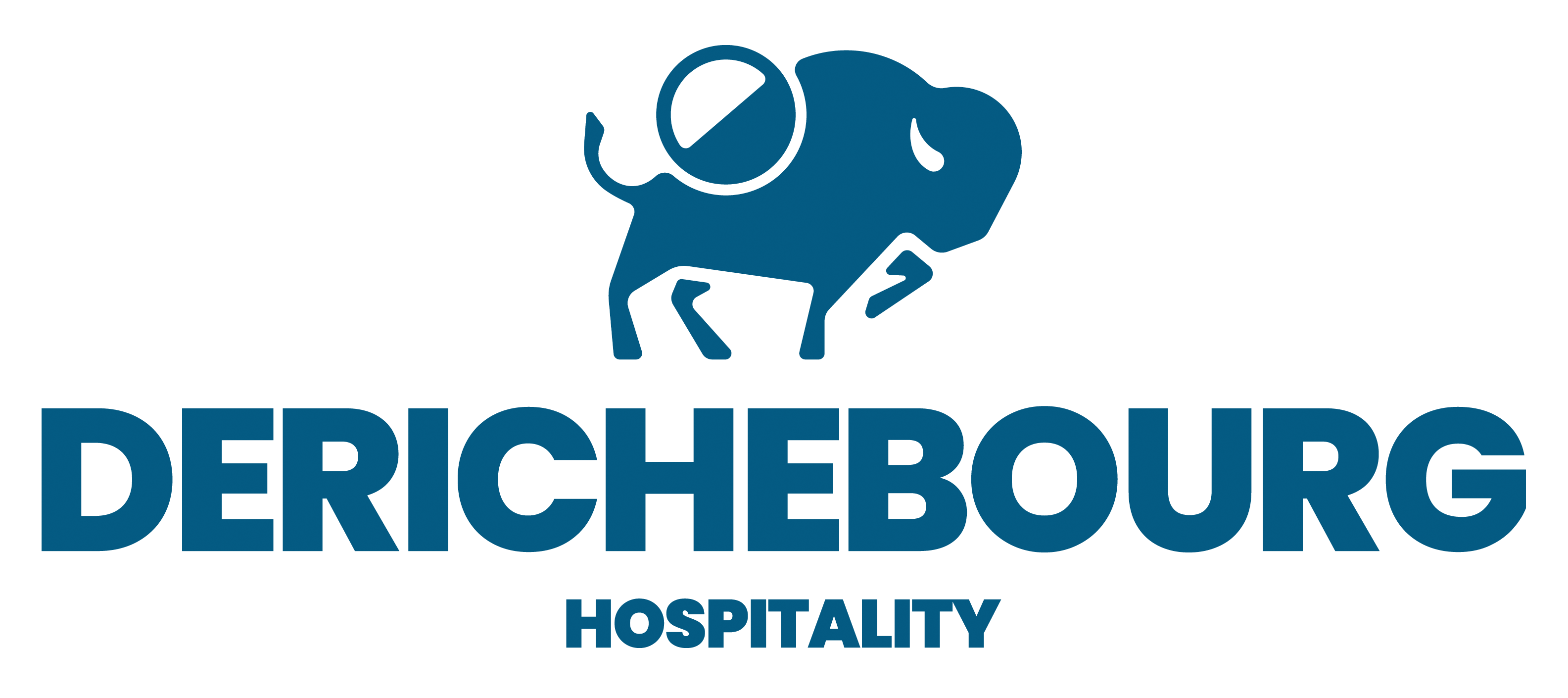 DERICHEBOURG HOSPITALITY